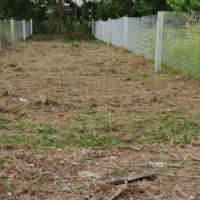 Đất T/Cmặt Tiềnấp Sơn Quy A .Tân Trung.gc Giá Bán 600 Triệu Với 550M2 Gần Cầu Sơn Quy . Khu Dân Cư Đông Đúc.shr