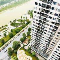 Bán Cc 3 Phòng Ngủ 2 Vệ Sinhtại Vinhomes Ocean Park Gia Lâm, Giá Cực Chất 4,35 Tỷ, 80M2