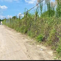 Chính Chủ Cần Bán 1 Lô Đất Đường Nguyễn Thìn, Long Thuận, Tp Gò Công, Diện Tích 5X40M2/200M2 Shr