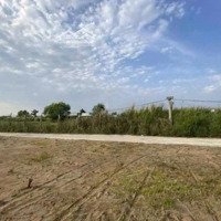 Chính Chủ Cần Bán 1 Lô Đất Đường Nguyễn Thìn, Long Thuận, Tp Gò Công, Diện Tích 5X40M2/200M2 Shr