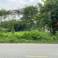 Bán Lô Đất Đẹp Giá Rẻ Phạm Văn Hai, Bình Chánh