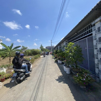Chính Chủ Chuyển Nhà.cần Bán Bán Gấp Đất Dh2, Xã Bình Nghị, Gò Công Đông, Tiền Giang,150M2