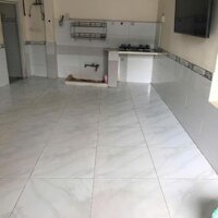 CHO THUÊ NHÀ NHỎ RIÊNG BIỆT. Nhà hẻm ngõ. Xe hơi đi đc, hẻm 736 Lê Đức Thọ Gò Vấp