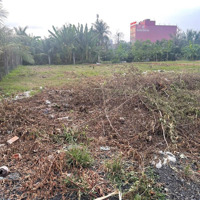 Cần Bán Gấp Để Đi Nước Ngoài 100M2 Đất Nguyễn Văn Tạo, Mặt Tiền 5M, Ngõ Rộng 50M, 350 Triệu