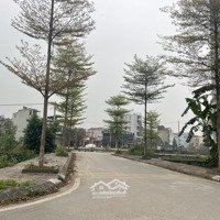 Bán Đất Nền 67.5M2, 126 Triệu/M2 Đấu Giá Cây Sung Đan Phượng, Hà Nội