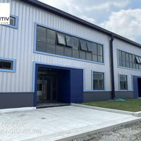 Nhà Xưởng Cho Thuê Tại Kcn Bàu Bàng, Bình Dương 3 - 10.000M2