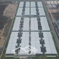 Nhà Xưởng Cho Thuê Tại Kcn Bàu Bàng, Bình Dương 3 - 10.000M2