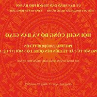Bán Đất Giãn Dân Lý Nhân, Xã Dục Tú. Gần Đường Gom Cầu Tứ Liên.