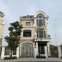 Bán Biệt Thự Song Lập Đảo Ngọc Trai 33,5 Tỷ Vinhome Ocean Park 2