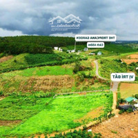Bán Đất 500M2 Tại Xã B''lá, Bảo Lâm, Lâm Đồng Chỉ Với Giá Ưu Đãi 559 Triệu