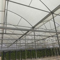 Bán Bđs Farm Rau Xà Lách Thủy Tinh Lâm Đồng