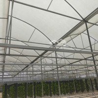 Bán Bđs Farm Rau Xà Lách Thủy Tinh Lâm Đồng