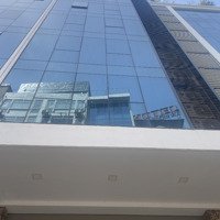 R.ẻ Nhất Tt Cầu Giấy, 5 Tầng,Mt 8M, Si.êu Vip Trần Thái Tông,Vỉa Hè Rộng, Đường 3 Ôtô Tránh, 21 Tỷ
