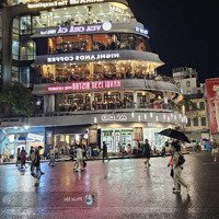 Bán Nhà Nguyễn Du, 180M X 9 Tầng, Dòng Tiền Tốt, 200 Tỷ