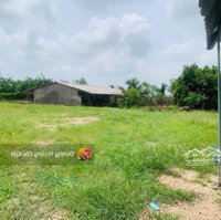 Chính Chủ Lô Đất 175M2, Shr, Cách Biển Tân Thành 2P,Mặt Tiềnđ. Huyện 3-Bình Nghị-Gò Công Đông ,Bán 1Tỷ5