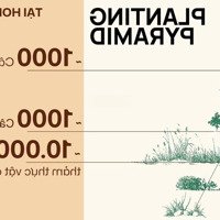 Đất Nền Homie City Phổ Yên, Thái Nguyên 22 Triệu/M2 Đối Diện Samsung, Gần Lotte Thái Nguyên