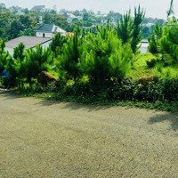 Bán Đất Tặng View, Đất Biệt Thự Góc 2 Mặt Tiền Đường Mạc Đỉnh Chi, Phường 2 Thành Phố Bảo Lộc