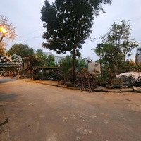 Bán Đất Dịch Vụ Dương Nội Hà Đông Phân Lô Vỉa Hè Rộng View Vườn Hoa Cực Thoáng