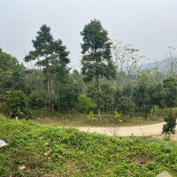 Cần Chuyển Nhượng Tổng Diện Tích 825M2 Có 100M2 Thổ Cư Vị Trí: Lô Đất Thuộc Cao Sơn, Lương Sơn Hb