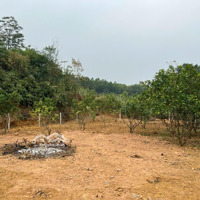 Cần Chuyển Nhượng Tổng Diện Tích 825M2 Có 100M2 Thổ Cư Vị Trí: Lô Đất Thuộc Cao Sơn, Lương Sơn Hb