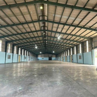 Cho Thuê Kho, Nhà Xưởng, Đất Tại Huỳnh Văn Lũy, Phú Mỹ, Thủ Dầu Một, Bình Dương, 40 Triệu, 1000 M2