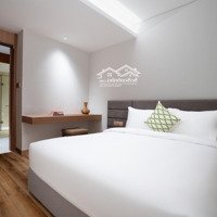 Sở Hữu Studio 5 Sao Nguyễn Thị Minh Khai-Đắt Khách Airbnb Giá Chỉ Từ 1 Tỷ++ - Đầu Tư Sinh Lời Ngay