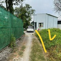 Bán 900 Triệu Lô Đất 103M², 80M² Thổ Cư Trung Tâm Tp. Thủ Dầu Một Sổ Hồng Riêng