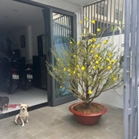 Bán Nhà 2 Lầu - 4X12M - 1716/ Huỳnh Tấn Phát, Nhà Bè - Liền Kế Quận 7