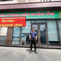 Chính Chủ Gửi Bán Nhanh Opal Boulevard 2 Phòng Ngủ 77M2 Chỉ 2,75 Tỷ, Có Sổ, Đông Nam, Tin Thật, 0981244296