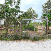 Đất Đức Hoà Hạ 10X40M Giá Bán 2Ty350