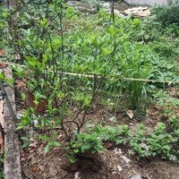 Bán Đất Đẹp Tại Đại Áng, 3,35 Tỷ, 31M2, Mặt Tiền 4.9M