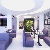 Hàng Hiếm! Bán Khách Sạnmặt Tiềnhoàng Văn Thụ - 9 Tầng, Tn 1,2 Tỷ/Năm, Giá Bán 45 Tỷ - Liên Hệ: 097.19.18.199
