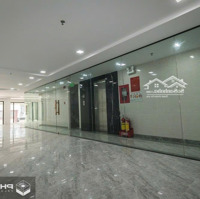 Bán Tòa Nhà Buildinhmặt Tiềnbạch Đằng. P2. Quận Tân Bình. 11 X35M. Cn: 240M2. Hầm 7 Tầng. Giá Bán 75 Tỷ