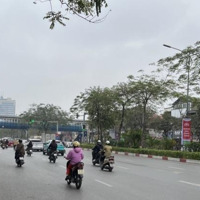 Mặt Phố Đại Cồ Việt, 100M2, Mt6.5M, Giá Chào 51.8 Tỷ