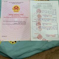 Bán Lô đất thổ cư hết đất mặt tiền đường tỉnh 782 Bàu Đồn Gò Dầu Tây Ninh DT 153m2 Giá 7,3 tỷ