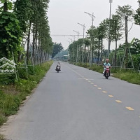 Lô Góc 100M² Đình Trung, Xuân Nộn, Đông Anh Vị Trí Tiềm Năng Phát Triển Vượt Bậc