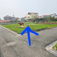 Lô Góc 100M² Đình Trung, Xuân Nộn, Đông Anh Vị Trí Tiềm Năng Phát Triển Vượt Bậc