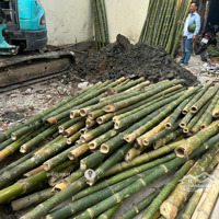 Bán Nhà 4 Tầng Mặt Đường Khu Nguyễn Công Hòa, Lam Sơn, Lê Chân Hải Phòng, Kd Buôn Bán Ok, Giá Bán 12 Tỷ