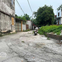 Bán 50M2 Sát Bìa Làng Cổ Loa, Ô Tô Ngủ Trong Đất Giá Đầu Tư Chỉ Hơn 3 Tỷ.