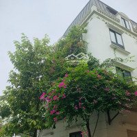 Cho Thuê Căn Góc Lk Lacasta Văn Phú - Q. Hà Đông - Kinh Doanh Vô Địch - 78M2 X 5 Tầng-Mặt Tiền18M
