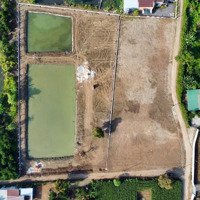 Bán Khu Nghỉ Dưỡng 5000M2 Đã Có 300 Thổ Cư Tại Xuân Tây, Cẩm Mỹ, Đồng Nai, Giá Ưu Đãi 4,7 Tỷ