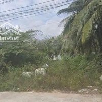 Bán Lô Đất Full Thổ Cư Mặt Tiền Đường Gò Đại, Diên Sơn, Diên Khánh - Đường Bê Tông 8M