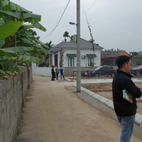 Bán Đất 60M2, 515 Triệu Tại Xã Thái Sơn, An Lão, Hải Phòng
