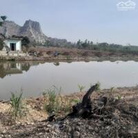 Cần bán 20000 m2 đất vườn,đấu thầu, diện tích tương đương 5 mẫu  tại Phường Duy Tân