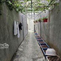 Bán Nhà Riêng Tại Đường Phúc Lợi, Phường Phúc Lợi, Long Biên, Hà Nội, 4,55 Tỷ, 61 M2