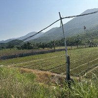 Đất Thôn Đắc Lộc, Xã Vĩnh Phương, Tp Nha Trang. Lô Đất Gần Cổng Chào Đắc Lộc, Cách Quốc Lộ 1 1Km.