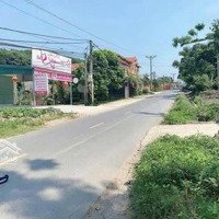 Bán Gấp 317M2 Mặt Đường 91, 10M Mặt Hậu 10M, Ba Trại, Ba Vì, Giá Rẻ Bán Nhanh