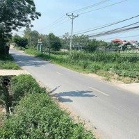 Bán Gấp 317M2 Mặt Đường 91, 10M Mặt Hậu 10M, Ba Trại, Ba Vì, Giá Rẻ Bán Nhanh