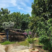 Cần Bán Đất Có Vườn Trái Cây Và Nhà Cấp 4 Ngay Nhơn Trạch, Đồng Nai. Giá Bán 850 Triệu, 600M2. Shr