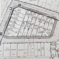 Cơ Hội Đầu Tư Sinh Lời Đất Đấu Giá Hội Phí, Mặt Tiền 5M, Diện Tích 80M Vị Trí Đẹp, Giá 150 Triệu/M2